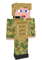 Скин по нику miltary