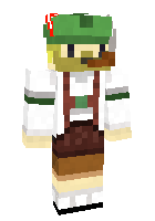 Скин по нику minerboy7
