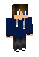 Скин по нику minicraft1000