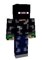 Скин по нику minigame