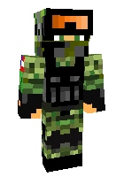 Скин по нику morpher178