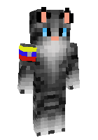 Скин по нику mr_cat