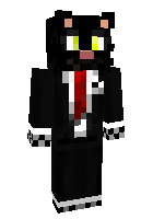 Скин по нику mr_kitten