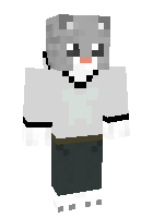 Скин по нику mr_kote