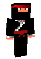 Скин по нику mr_ninja000