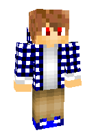 Скин по нику mr_vika