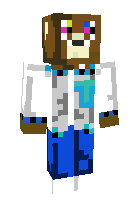Скин по нику mr_villager