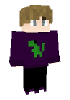 Скин по нику mrnotbear