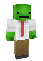 Скин по нику mrturtledudeXD