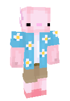 Скин по нику ne_axolotl