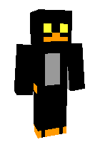 Скин по нику neopet