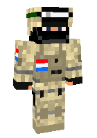 Скин по нику netherland