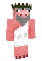 Скин по нику niko___