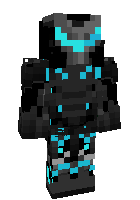Скин по нику ninjagowarrior