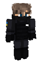 Скин по нику ninjakiwi