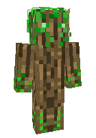 Скин по нику nordic1
