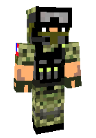 Скин по нику omaidog