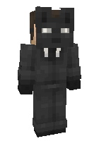 Скин по нику ornatejayden