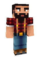 Скин по нику paddyandme
