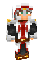 Скин по нику paladin