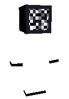 Скин по нику paleguy