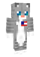 Скин по нику patriotic_kitten