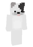 Скин по нику pawbert