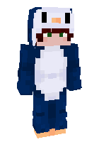 Скин по нику penguin18