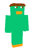 Скин по нику perryplayz