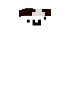 Скин по нику pewfu