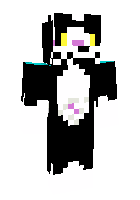 Скин по нику picsel