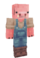 Скин по нику pigpig123