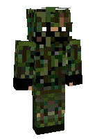 Скин по нику pinenipple