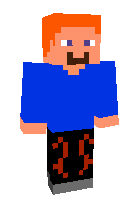 Скин по нику pingvin4