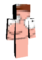 Скин по нику pitergriffin