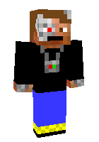 Скин по нику pixa41