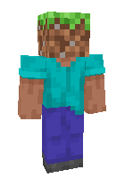 Скин по нику pixelhorizon1