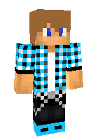 Скин по нику plaid