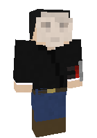 Скин по нику pokebro2000