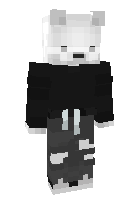 Скин по нику polarnyy