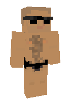 Скин по нику ponta_008