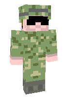 Скин по нику premodder