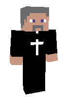 Скин по нику priest_