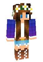 Скин по нику princess_11