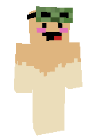 Скин по нику protogens