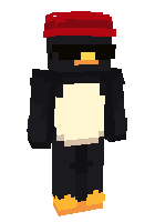 Скин по нику pubmaster