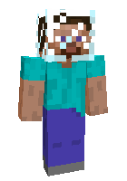 Скин по нику purplewool