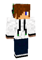 Скин по нику qualityplayerR