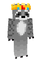 Скин по нику raccoon1