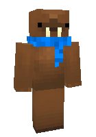 Скин по нику raidermon